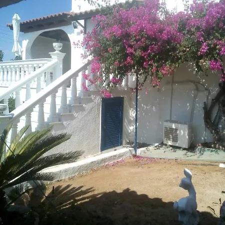The House On The Hill *